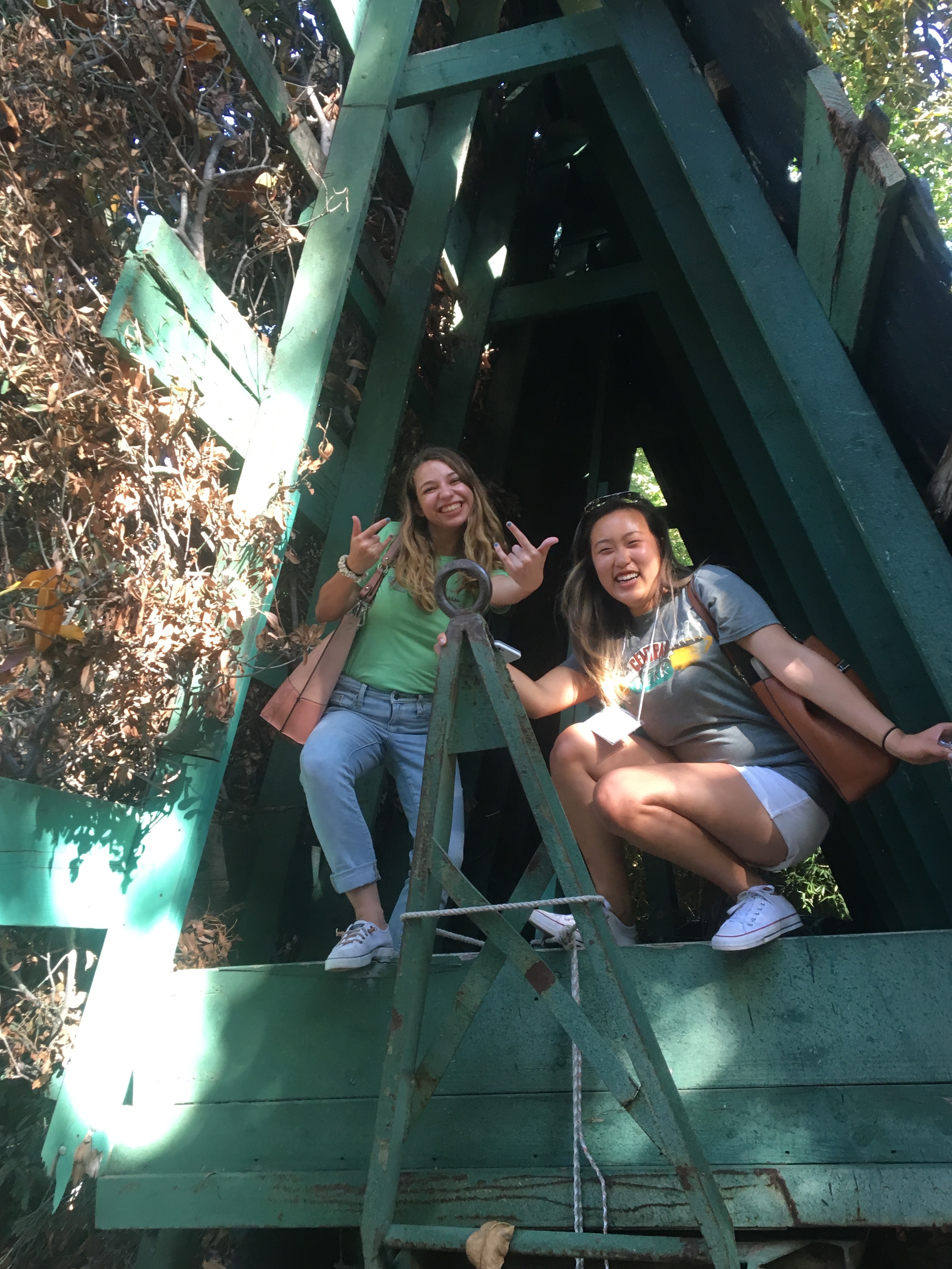At the Warner Jungle on the Warner Bros. lot