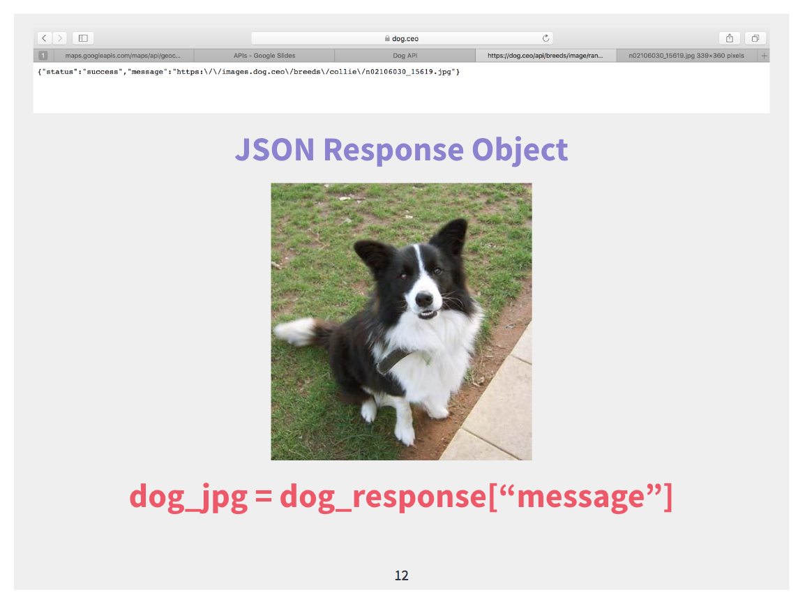 API Lesson