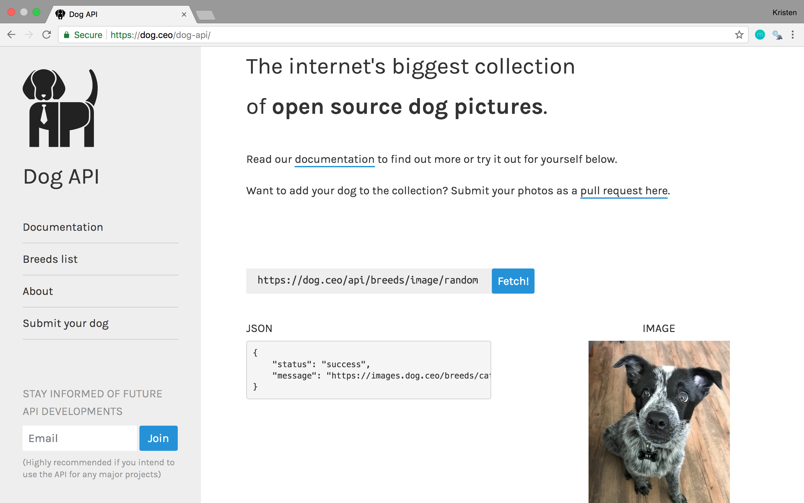 Dog API