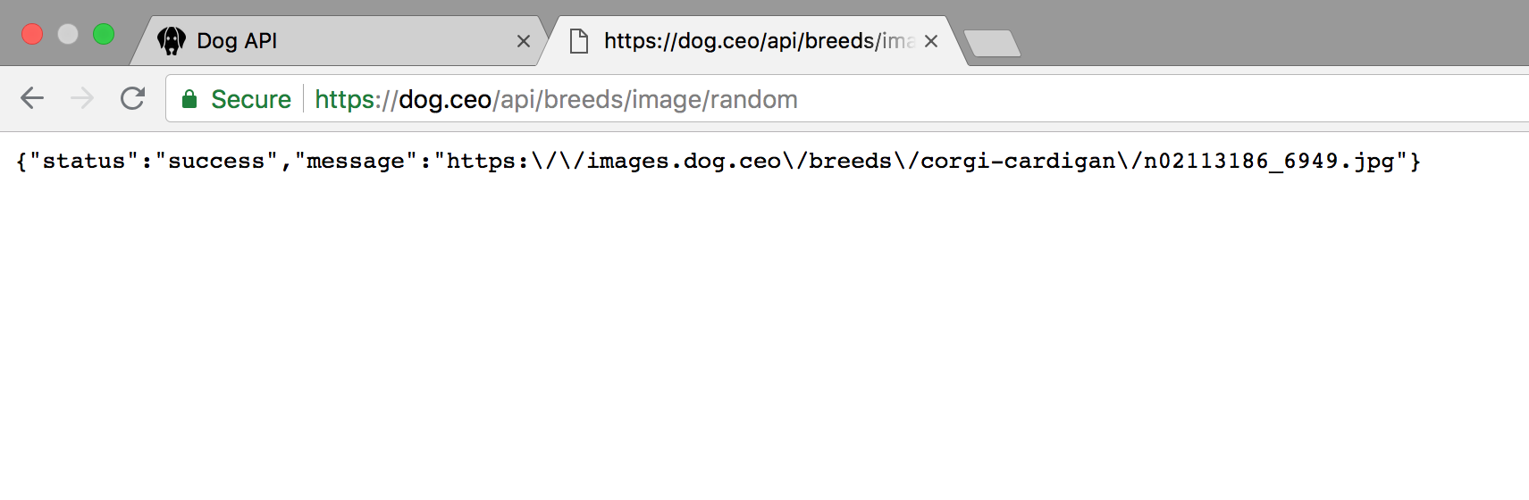 Dog API