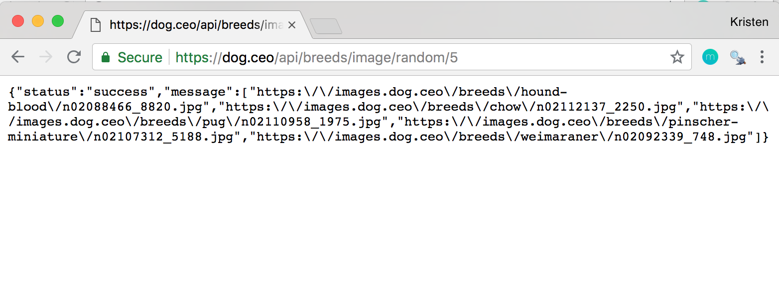 Dog API